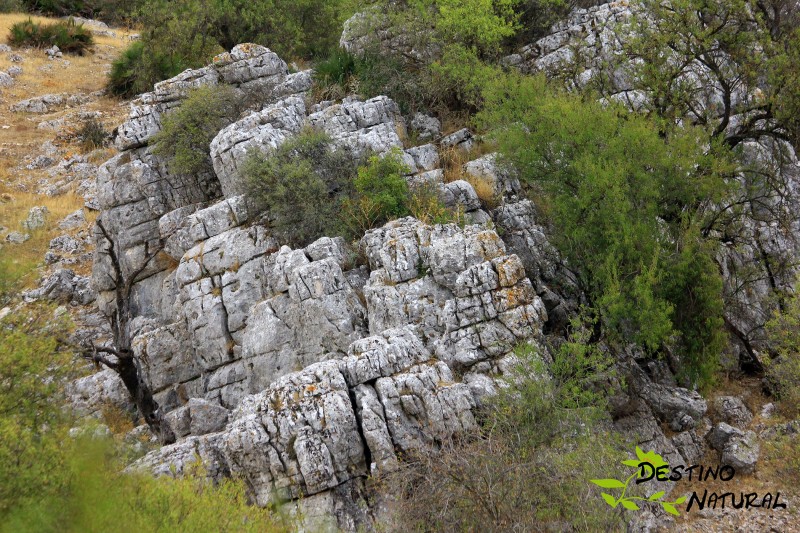 Tajo Montero Estepa.jpg